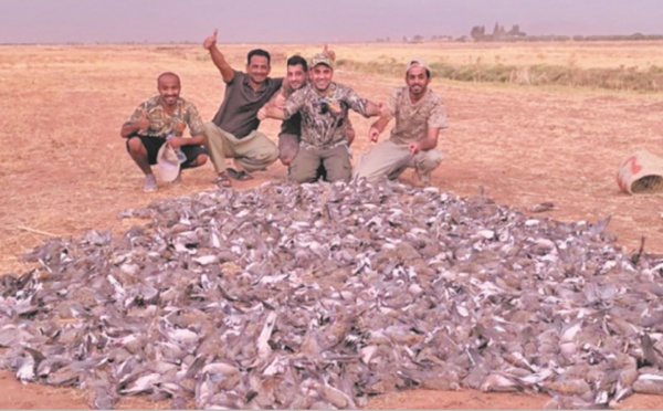 Une partie de chasse d’oiseaux indigne la Toile