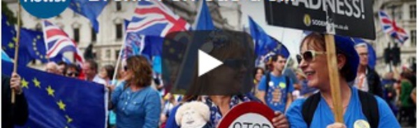 Brexit : en cas d'élections anticipées, qui seront les protagonistes ?