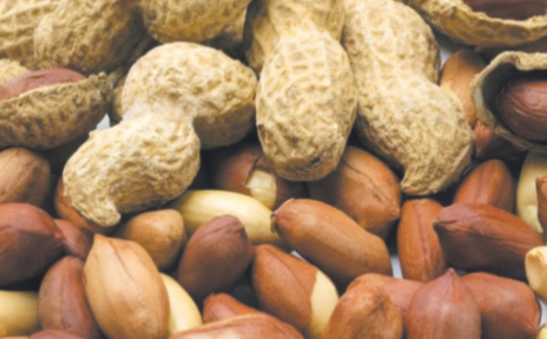 Les cacahuètes sont-elles bonnes pour la santé ?