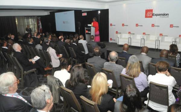 La promotion de l'environnement des affaires en Afrique