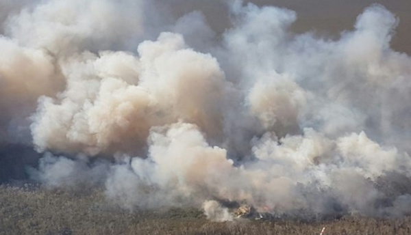 En Australie, un combat “herculéen” contre les feux de forêt