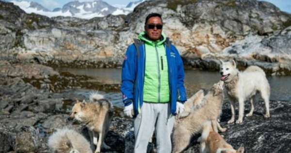 Au Groenland, les chiens de traîneau menacés par la fonte des glaces
