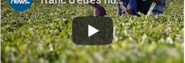 Trafic d'êtres humains : le Beaujolais secoué par une vaste enquête