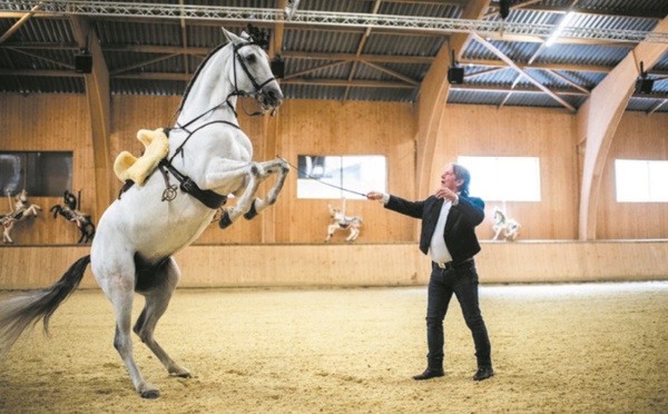 Mario Luraschi, “l'homme qui parle cheval” avec “Fascination”
