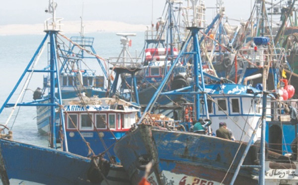 La pêche maritime à Al Hoceima, un levier important pour le développement de l'économie locale