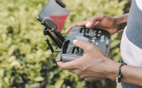 La digitalisation booste l'agriculture en Afrique