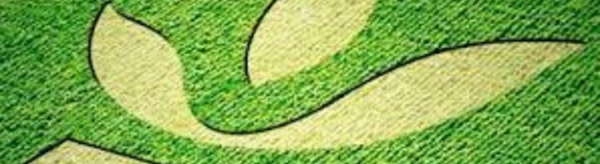 Le Crédit agricole lance un emprunt obligataire