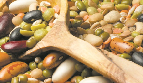 La production des céréales et des légumineuses face aux défis du climat et du marché