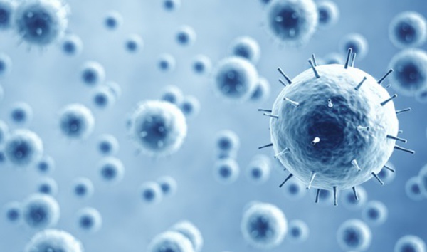 Le virus de la rougeole remet à zéro vos défenses immunitaires