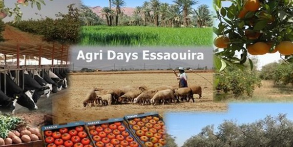 Les produits du terroir et de l'élevage à l'honneur au Salon “Agri Days Essaouira”, du 8 au 10 novembre