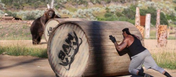 Insolite : Duel entre des ours et des hommes
