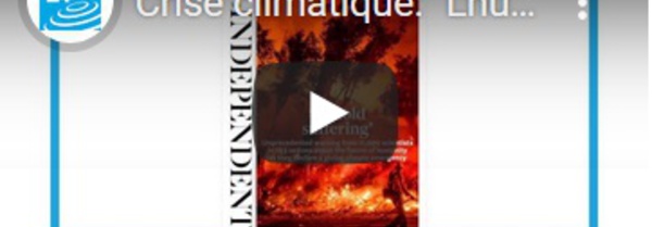 Revue de presse