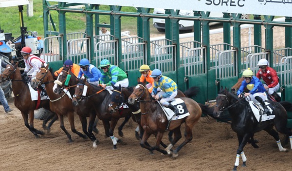 Le 5ème Meeting International du Maroc des courses de chevaux à Casablanca