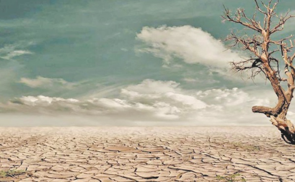 Dix scientifiques marocains s'associent à un appel mondial mettant en garde contre l’ urgence climatique