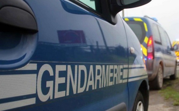 Insolite : Voler une voiture de gendarmerie
