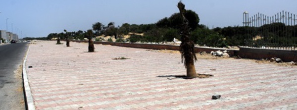 Des acteurs associatifs et des jeunes se mobilisent pour le nettoyage de la ceinture verte d'Essaouira