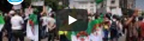 Algérie : 6 mois de prison pour 28 manifestants ayant brandi le drapeau berbère