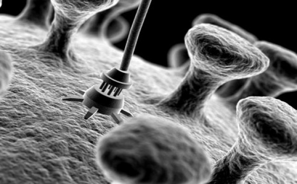 Nanoparticules : petites tailles et grands effets escomptés sur les cancers