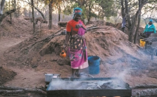En Afrique du Sud, le sel sacré qui épice la grande cuisine