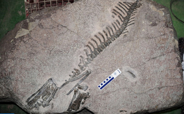 Les nouveautés en matière de géologie du quaternaire en débat à Kénitra