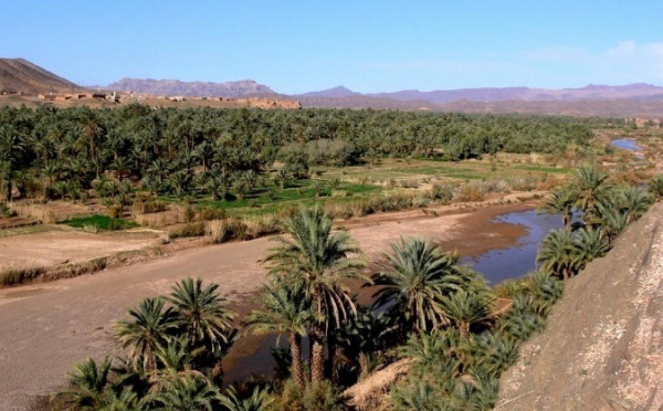 Dans les vallées de Draâ et Maidr, le secteur nuit à la biodiversité : Le tourisme coûte plus qu'il ne rapporte