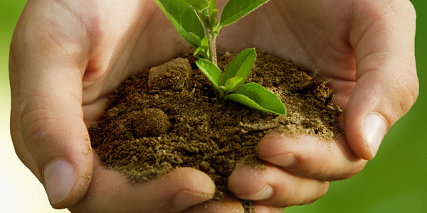 Ateliers de formation sur l'écologie au profit des élèves
