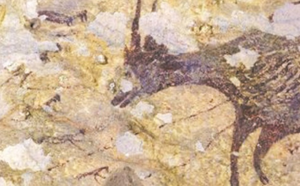 La plus ancienne scène de chasse de l'art préhistorique dénichée en Indonésie