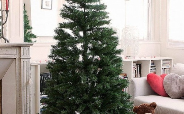 Insolite : Arbre de Noël