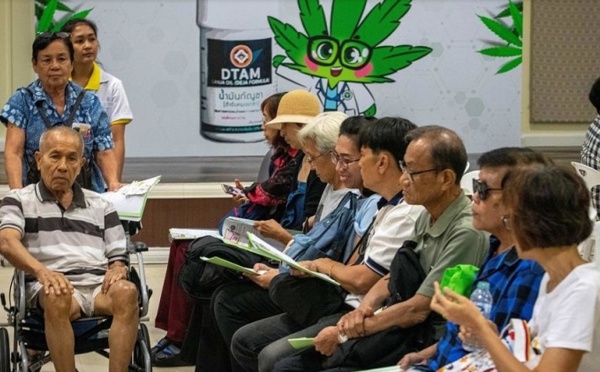 Première clinique mixant cannabis et médecine traditionnelle en Thaïlande