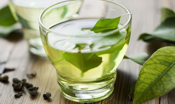 Le thé vert aide-t-il à vivre plus longtemps ?