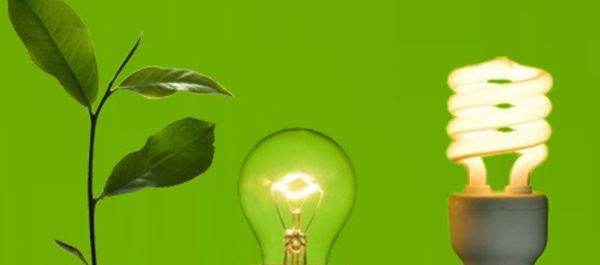 Lancement de l'appel à candidature pour le “Green Business Incubator” 2020