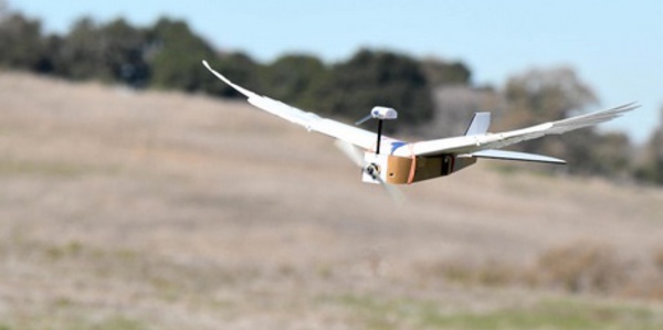 Les drones pourraient bientôt voler comme des oiseaux