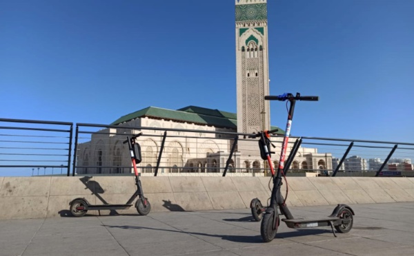 Trottinette électrique : C’est tout mignon !