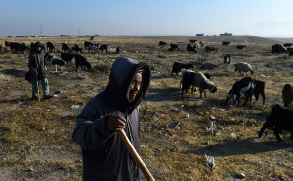 Les bergers afghans menacés par la sécheresse due au changement climatique