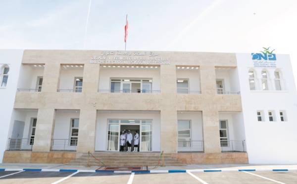 Ouverture du nouveau marché de gros de poissons à Tétouan