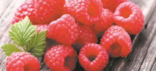 Ouverture du marché des Etats-Unis à la framboise marocaine