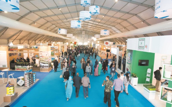 L’agriculture marocaine à l’ère de l’innovation digitale