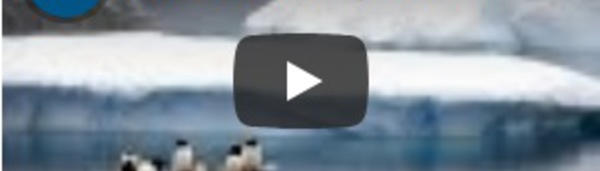 Record de température en Antarctique : plus de 20° enregistrés