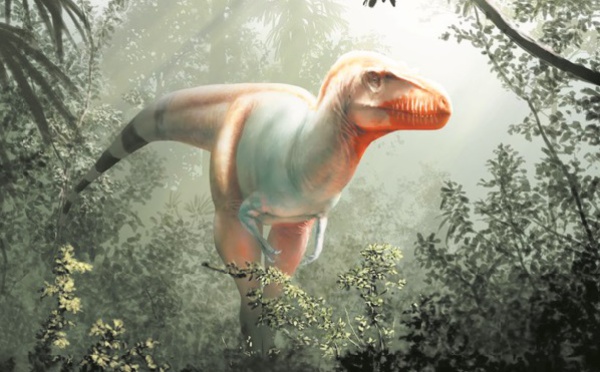 Un lointain cousin du T-Rex découvert au Canada