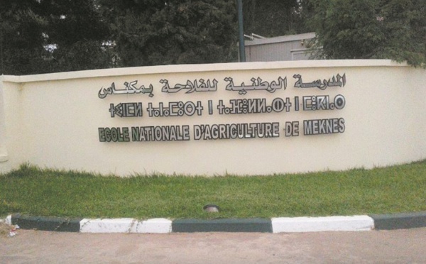 Le 13ème Forum de l’ENAM dédié à la digitalisation de l'agriculture marocaine