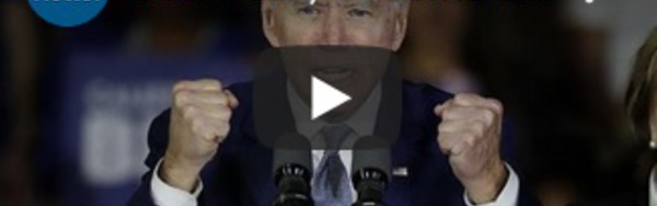 Joe Biden, le "Come-back" dans la primaire démocrate américaine