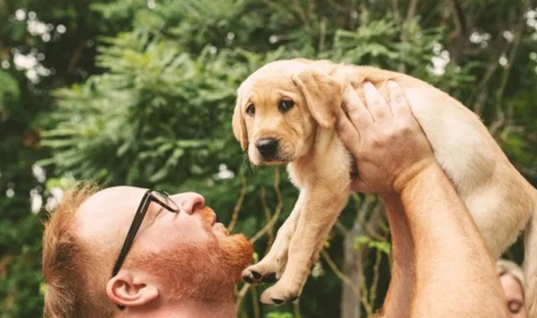 Insolite : Chien cloné