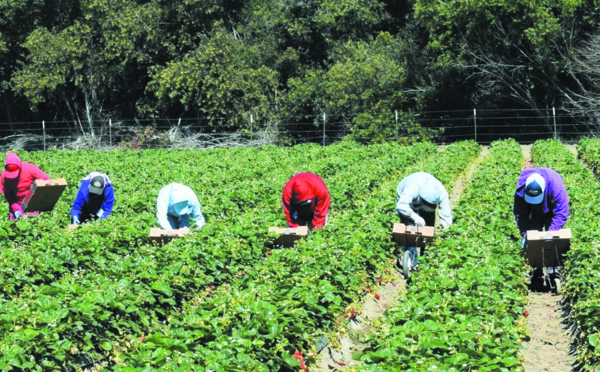 La femme marocaine marginalisée  sur le marché du travail