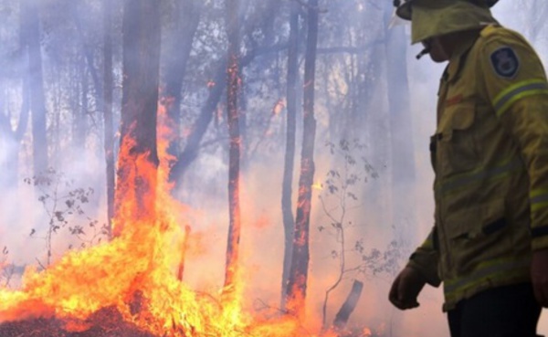 Le risque de feux de forêt augmente en Australie à cause des hommes