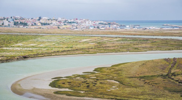 Plus de 32 MDH alloués à des projets hydrauliques par l’Agence du bassin du Loukkos