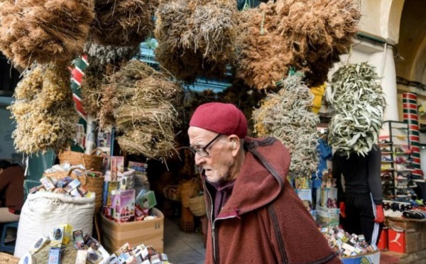 Face au coronavirus, les herboristes de Tunis font le plein