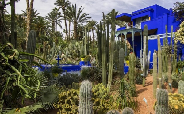 La Fondation Jardin Majorelle adhère aux efforts visant la lutte contre le Coronavirus