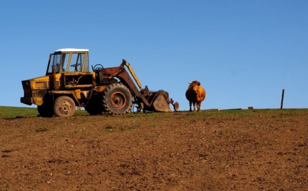 Assurance multirisque climatique : Indemnisation des agriculteurs sinistrés dans le Souss