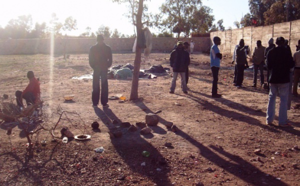 Expulsions, arrestations, violences : le calvaire des migrants africains: Sous la Coupole, le racisme dénoncé par les conseillers de la FDT