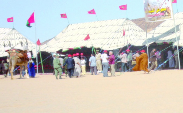 Courses camelines de Smara : Succès de l’édition inaugurale